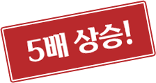 5배 상승